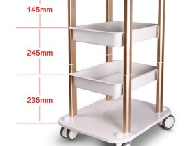 Color Hairdressing Trolley Styling Station Beauty Salon Manicure Nail Pedicure Tools Storage Cart Cabinet Drawers