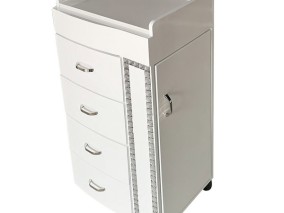 Storage Hair Spa Rolling Cart Tray Trolley Hairdresser Beauty Barber Colouring Drawers Salon Trolley